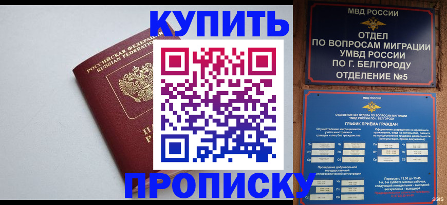 прописка регистрация в Дубне